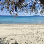 V.k.seaside Case de vacanță