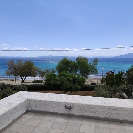 V.k.seaside *